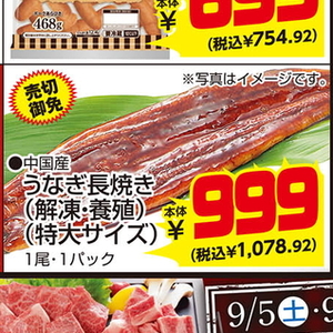 うなぎの蒲焼き
