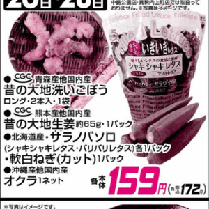 ごぼう