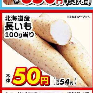 ながいも