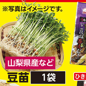 豆苗