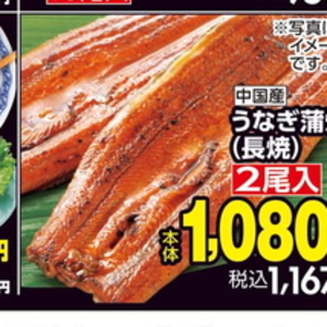 うなぎの蒲焼き