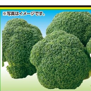 ブロッコリー
