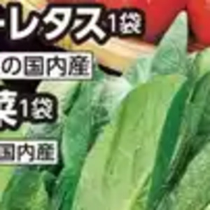 こまつ菜