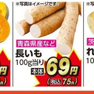 ながいも