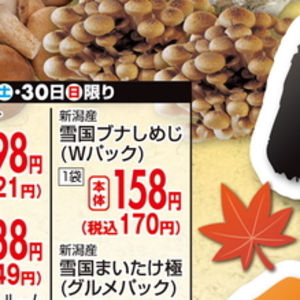 しいたけ