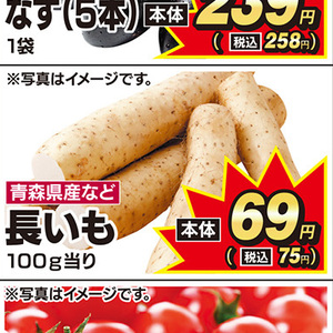 ながいも