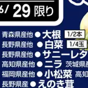 はくさい