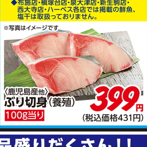ぶり（切り身）