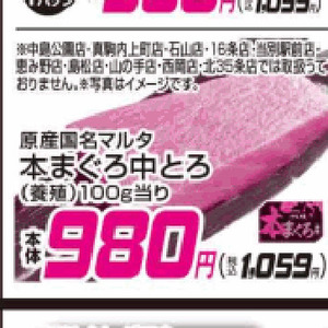 まぐろ中とろ