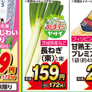 ながねぎ
