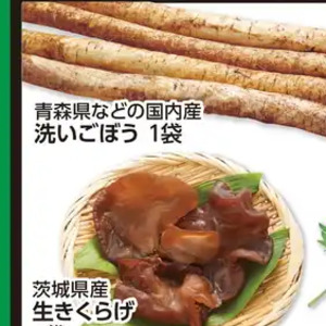 ごぼう