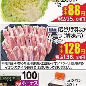 鶏手羽中