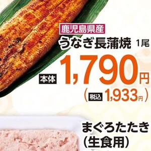 うなぎの蒲焼き