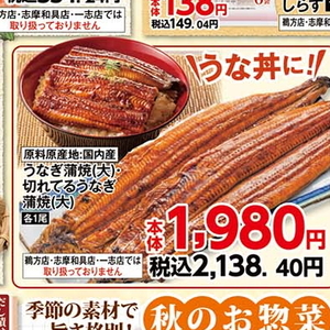 うなぎの蒲焼き