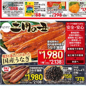 うなぎの蒲焼き