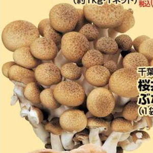 しめじ