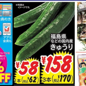 きゅうり