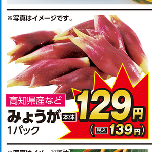 みょうが