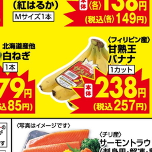 ながねぎ