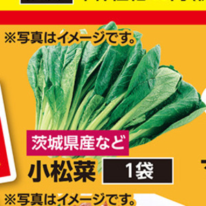 こまつ菜
