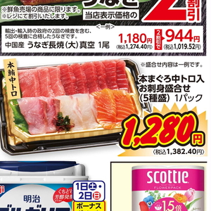 まぐろ中とろ