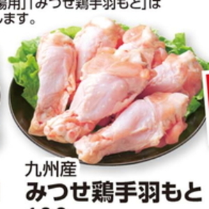 鶏手羽元