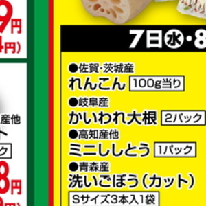 カイワレ大根