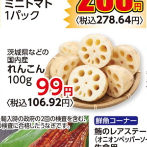 レンコン