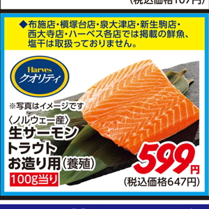 サーモン（刺身）