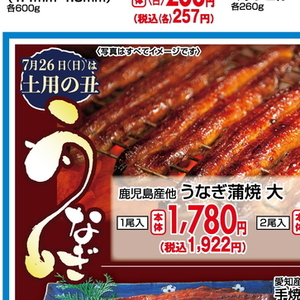 うなぎの蒲焼き