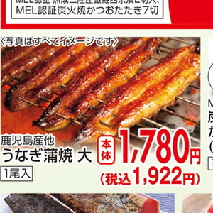 うなぎの蒲焼き
