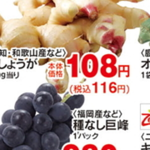 新生姜