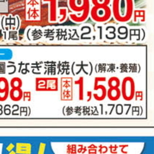うなぎの蒲焼き