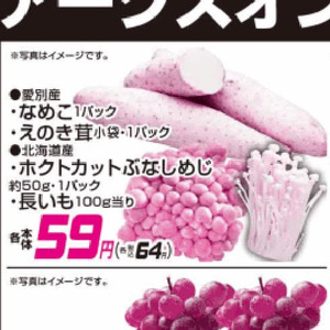 えのき茸