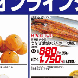 うなぎの蒲焼き