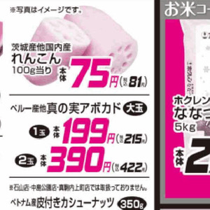 レンコン