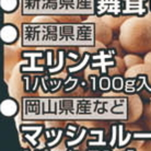 エリンギ
