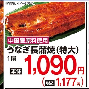 うなぎの蒲焼き
