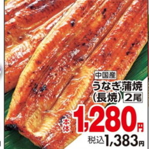 うなぎの蒲焼き