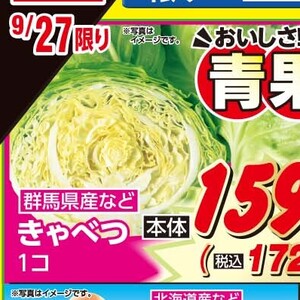 きゃべつ