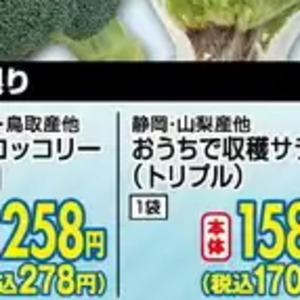 ブロッコリー