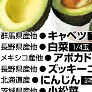 はくさい