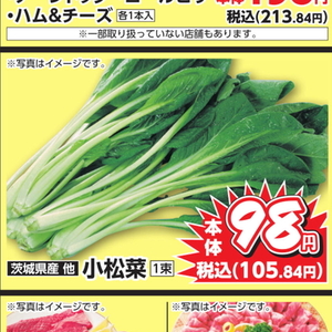 こまつ菜