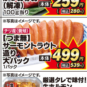 サーモン（刺身）