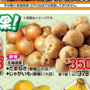たまねぎ
