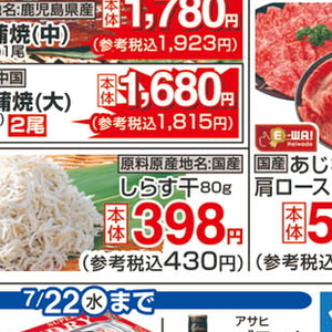 うなぎの蒲焼き