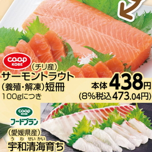 サーモン（さく取り）