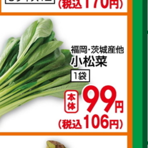 こまつ菜
