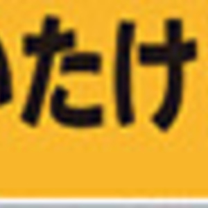 しいたけ