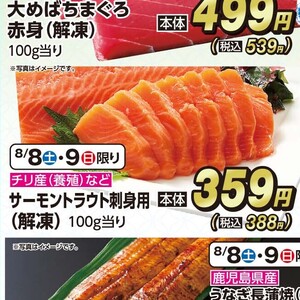 サーモン（刺身）
